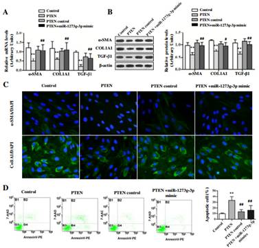 kaiyun开云网页版