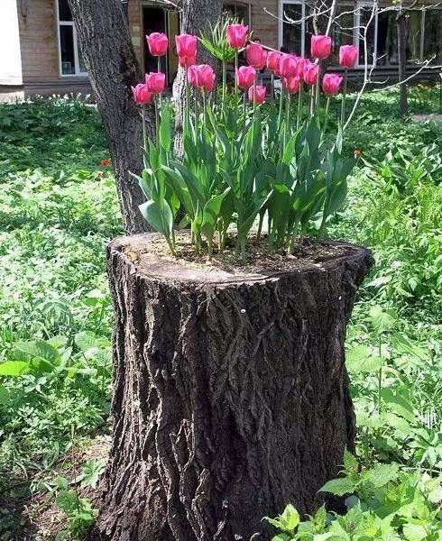 kaiyun开云官方在线登录_大连万达 从好莱坞到养猪场