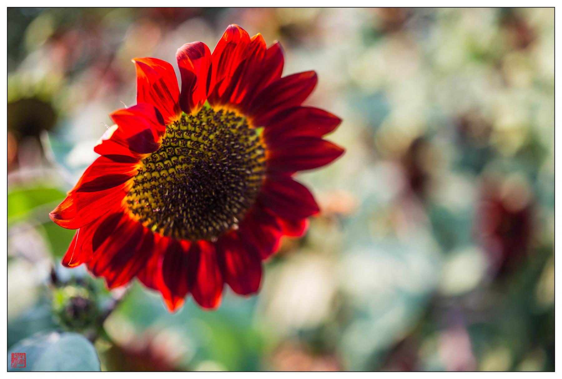 kaiyun开云官方在线登录