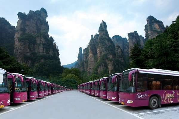 铝城小学毕业生期末回母校探望老师|kaiyun开云网页版