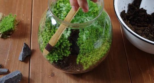 吃苹果有禁忌这些问题可别忽视‘kaiyun开云网页版’(图2) kaiyun网页登录入口