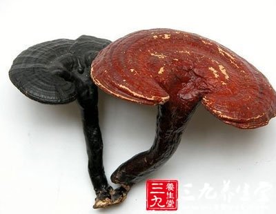 kaiyun网页登录入口-NEC面向中国推出液化气及燃料的可视化管理解决方案(图2) kaiyun网页登录入口