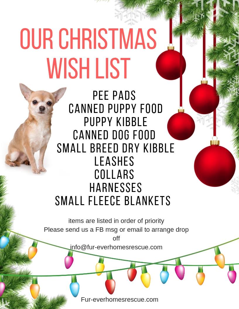 “kaiyun网页登录入口”人工智能发展需要真正的开源开放,OpenI启智平台肩负使命正式启航(图2) kaiyun开云网页版