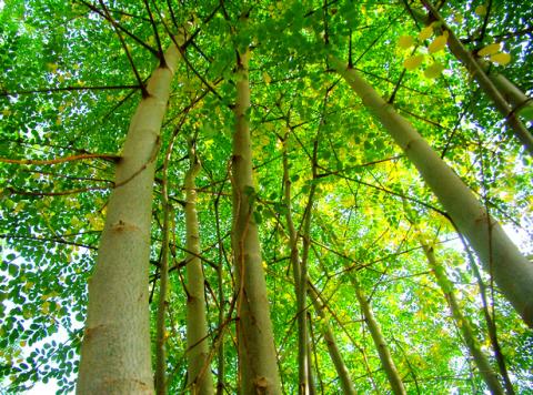 自动化know-how：定位技术|kaiyun网页登录入口