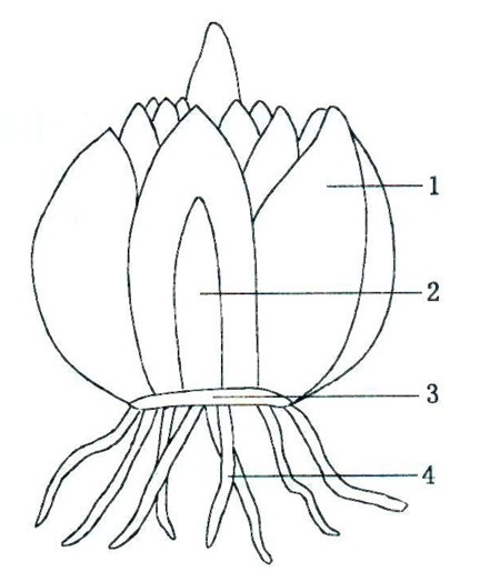 2019青岛市南区幼升小小升初政策-青岛幼升小-kaiyun开云官方在线登录(图2) kaiyun网页登录入口