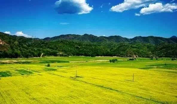 kaiyun开云官方在线登录