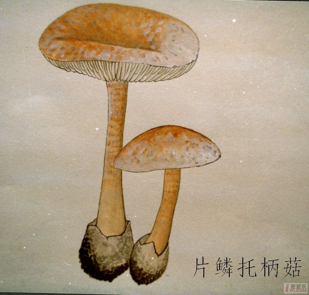 kaiyun开云官方在线登录