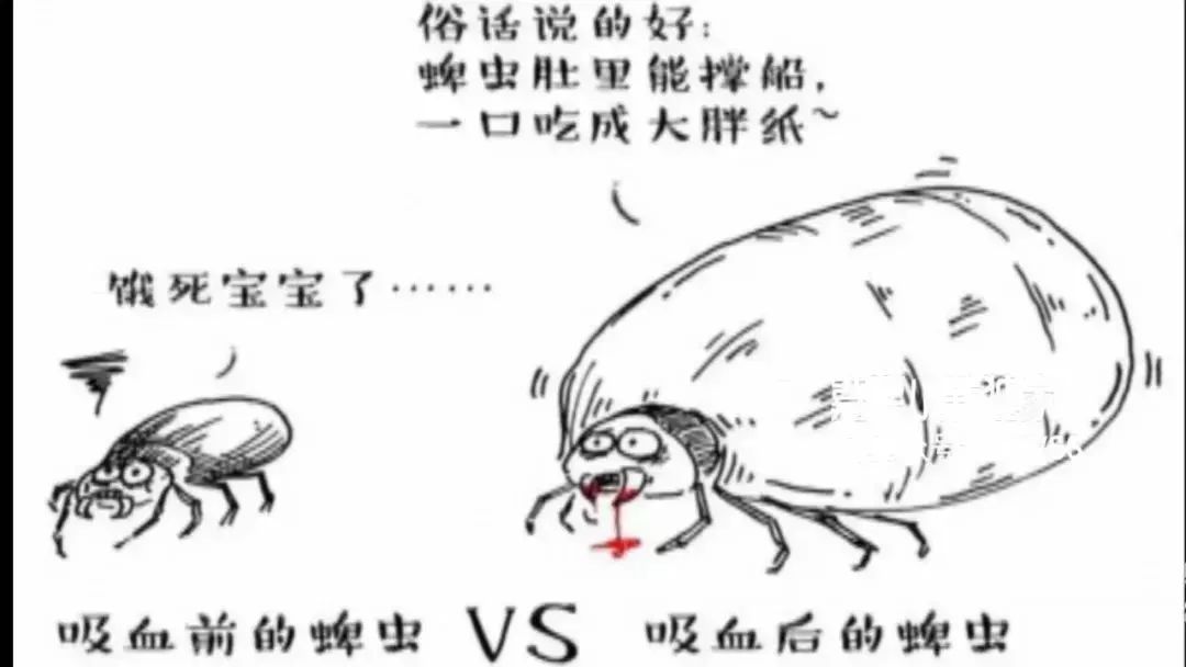 kaiyun开云网页版