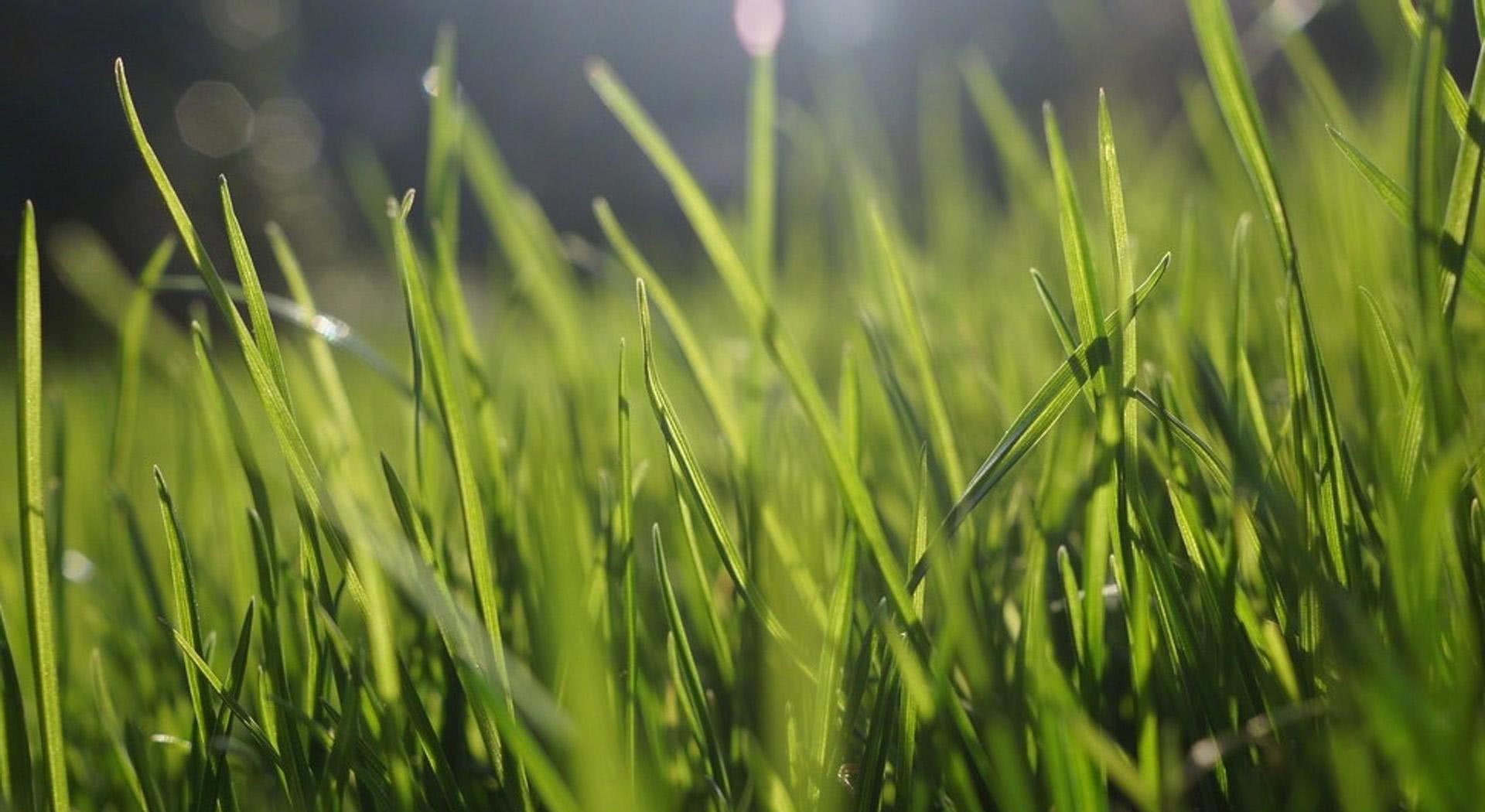 kaiyun开云网页版