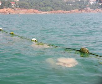 ‘kaiyun开云官方在线登录’金沙江联合资本周奇:企业真正的实力,来自于他的潜力(图2) kaiyun开云网页版