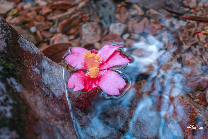 kaiyun网页登录入口