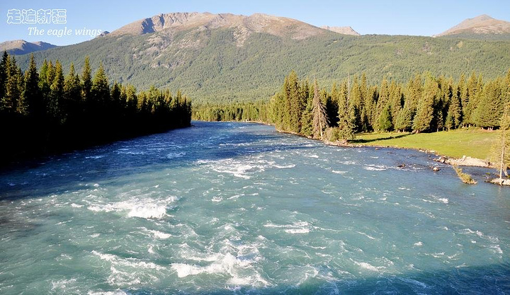 kaiyun网页登录入口