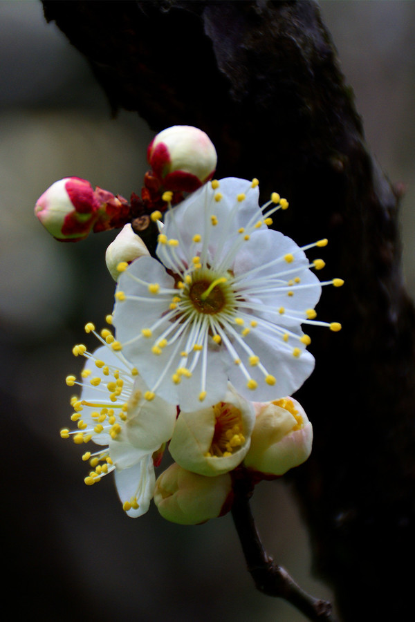 医疗器械市场现在的发展情况是怎么样的呢?‘kaiyun开云网页版’(图2) kaiyun开云网页版