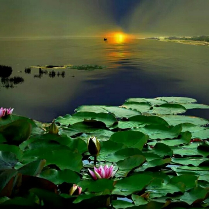 kaiyun开云官方在线登录