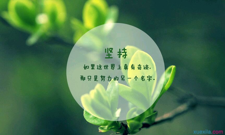 kaiyun网页登录入口