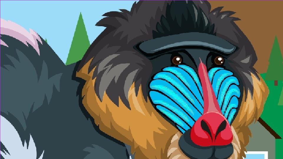 kaiyun开云网页版