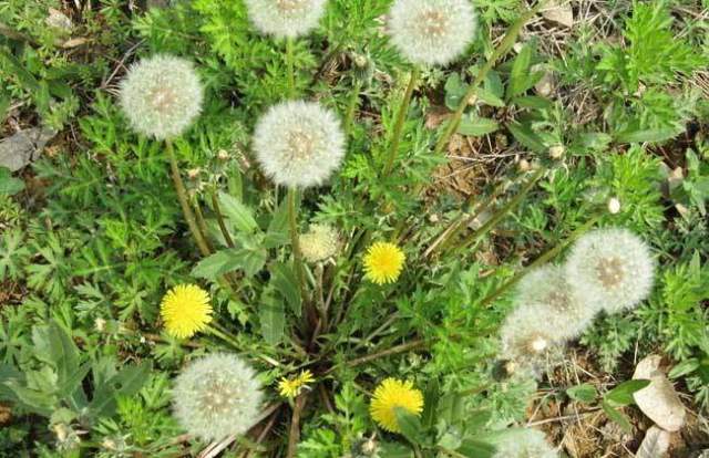 kaiyun网页登录入口