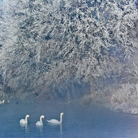 kaiyun开云网页版