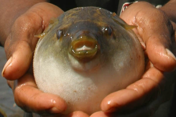 kaiyun开云网页版