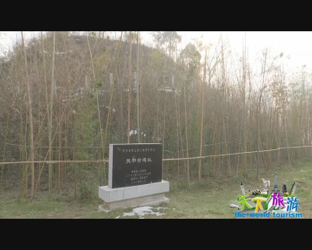 kaiyun网页登录入口|新东方泡泡幼小衔接怎么样?(图1) kaiyun开云网页版