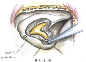 kaiyun开云官方在线登录