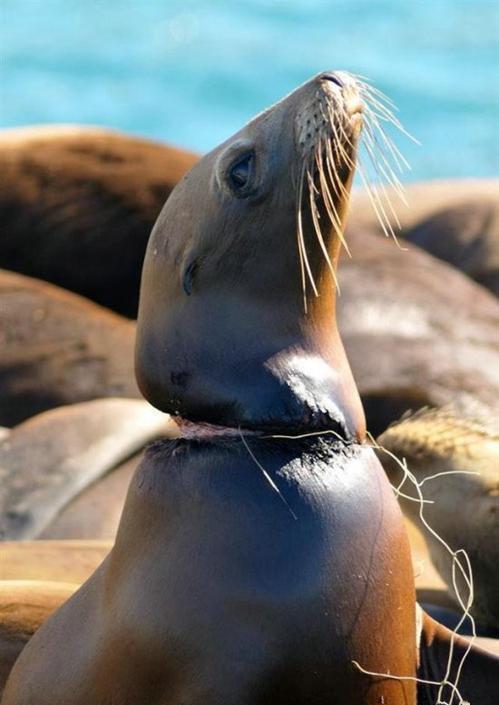 重组后的总体业务流程【kaiyun开云网页版】(图1) kaiyun开云官方在线登录