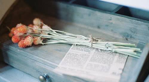 郾城东街小学喜迎“红色书籍”进校园:kaiyun网页登录入口(图2) kaiyun开云官方在线登录