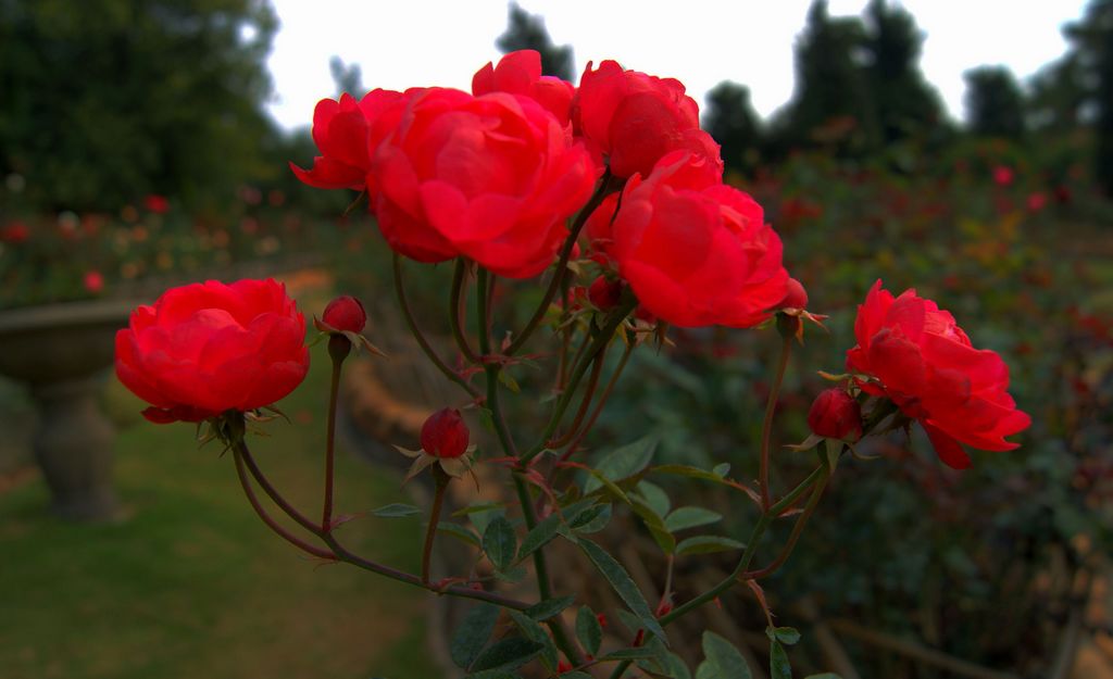 kaiyun网页登录入口|手术室无影灯的标准配置(图2) kaiyun开云网页版