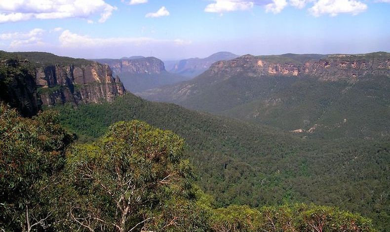 kaiyun开云网页版