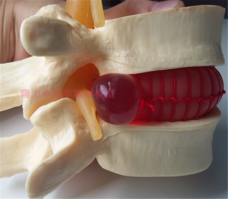 kaiyun开云官方在线登录