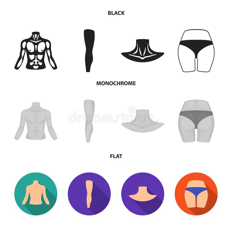 kaiyun开云官方在线登录