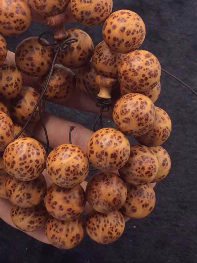 kaiyun网页登录入口