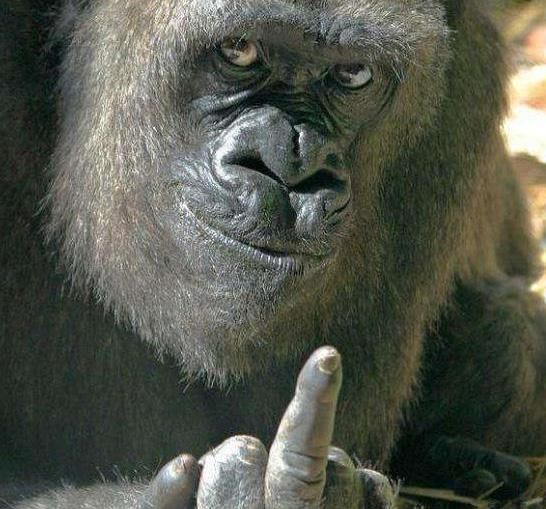 kaiyun网页登录入口