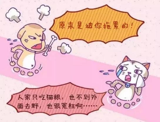 kaiyun开云官方在线登录