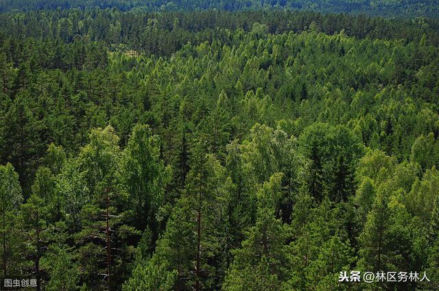 kaiyun开云网页版